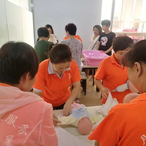 天津專業培訓課程指南 營養師、月嫂與催乳師培訓選擇與價格解析